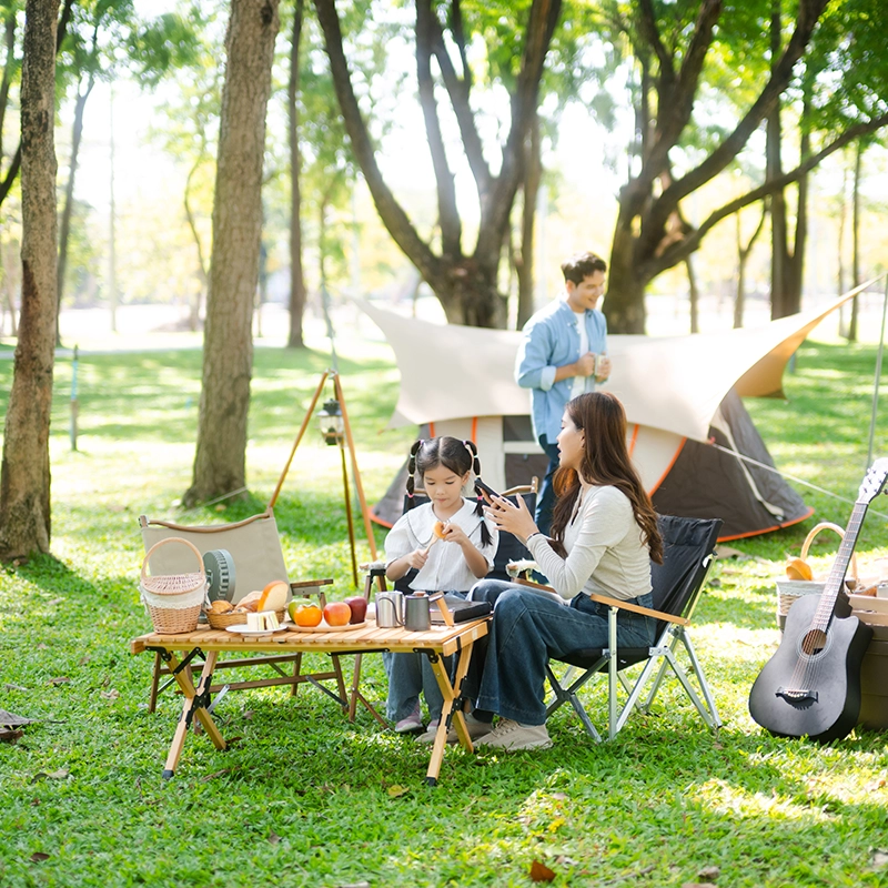 Une famille campe dans un parc, avec une table de pique-nique garnie de fruits, un enfant et un adulte assis, et une guitare posée à côté.