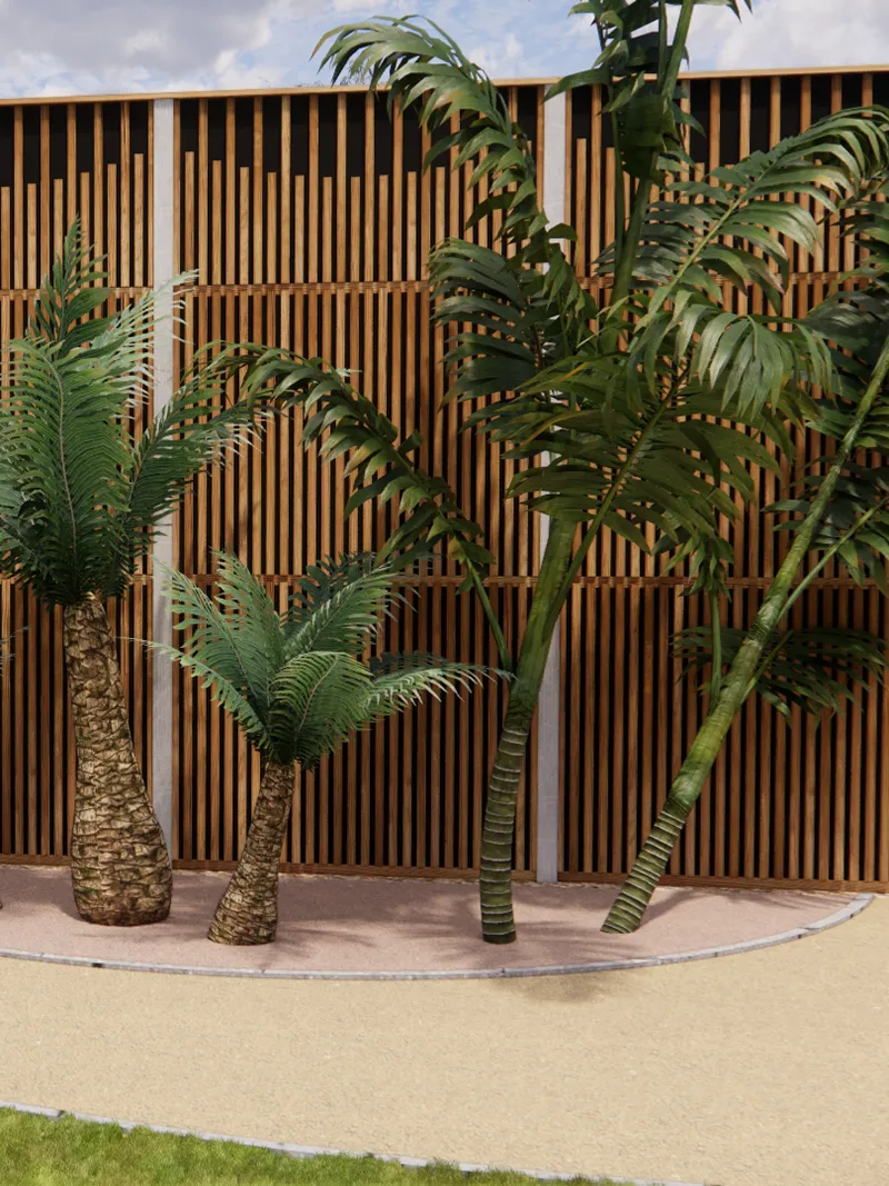 Des palmiers verts sont plantés devant une clôture en bois à lattes verticales, sur un sol de gravier beige.